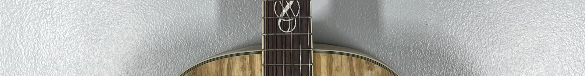 Ibanez EW-20 Acoustic Guitar, pro setup.