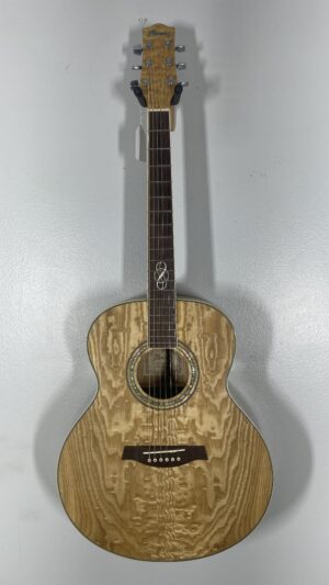 Ibanez EW-20 Acoustic Guitar, pro setup.