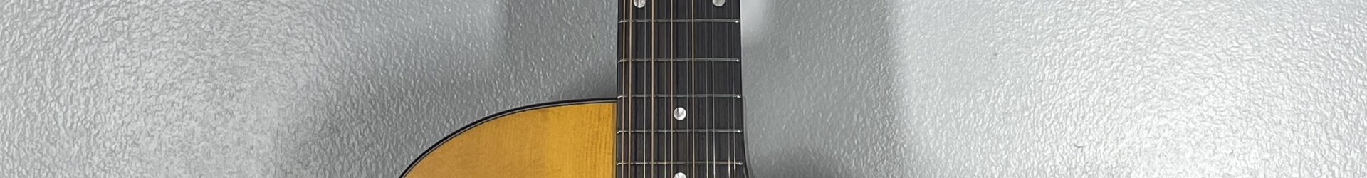 D’Angelico 12 string, brand new Fulton LS, pickup, pro setup, warranty.