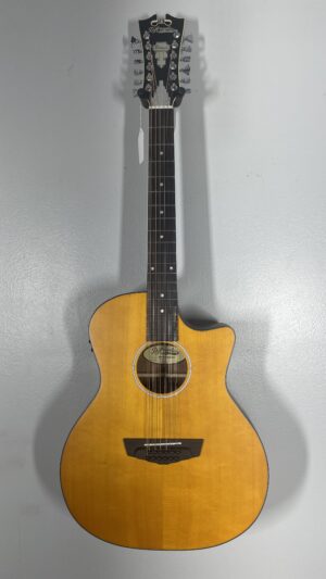 D'Angelico 12 string, brand new Fulton LS, pickup, pro setup, warranty.