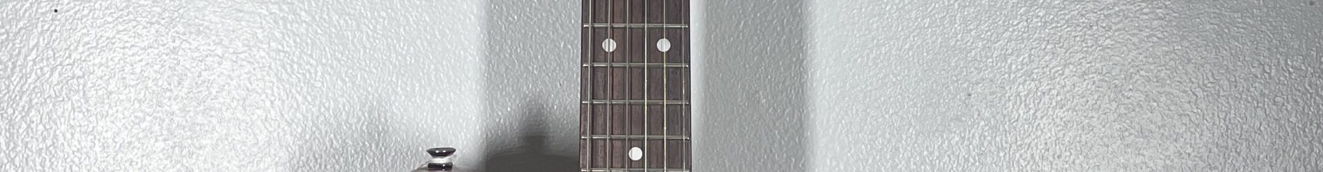 Aria Pro II JS-2, P-90’s, Brand New, Authorized Dealer, Pro Setup.