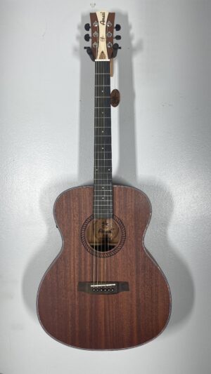 Amati Acoustic w/bag, pickup, pro setup. Brand New