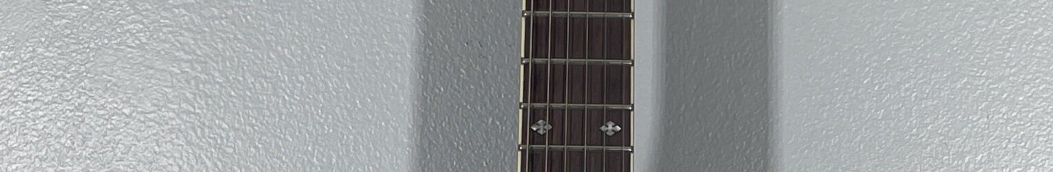 Xavier hollow body Les Paul copy. Pro setup