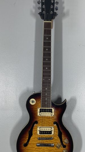 Xavier hollow body Les Paul copy. Pro setup