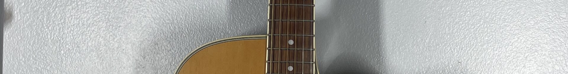 Dean Acoustic, pro setup, ready to play.