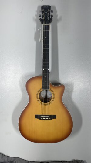 Nashville Guitar Works w/bag, pro setup, almost new.