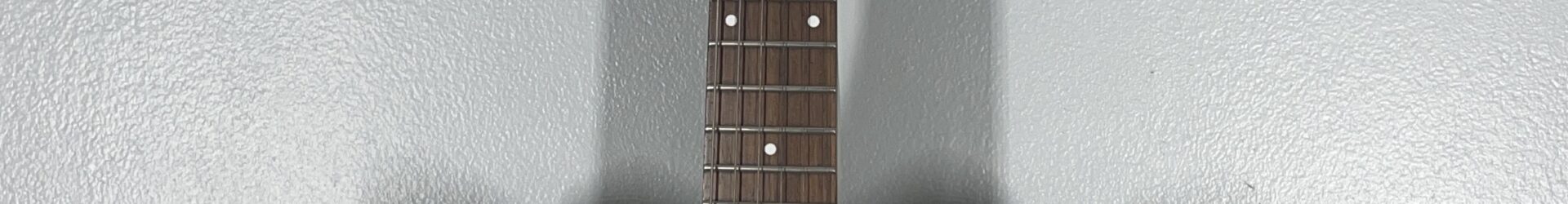 Danelectro D59 Divine Walnut, brand new.