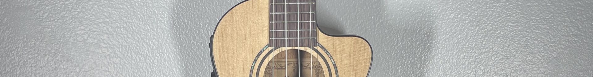 Alvarez RU26CE, concert uke with pickup, brand new.