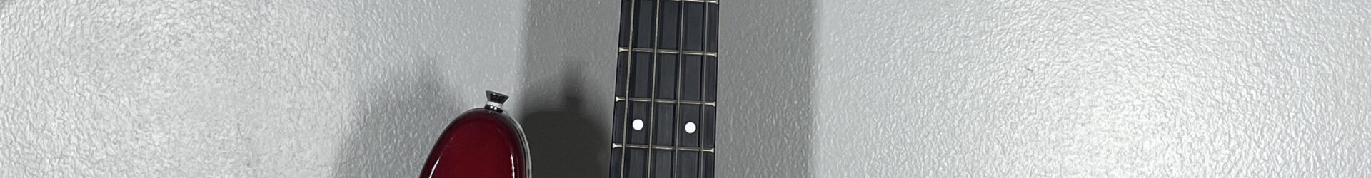 Amati Bass, brand new, pro setup. w/bag.