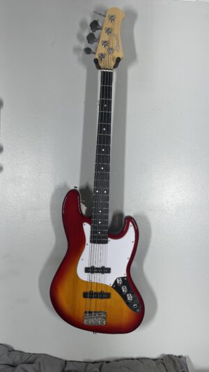 Amati Bass, brand new, pro setup. w/bag.