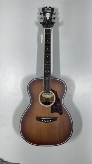 D'Angelico Premier Tamany, solid top, w/pu, brand new, warranty, pro setup.