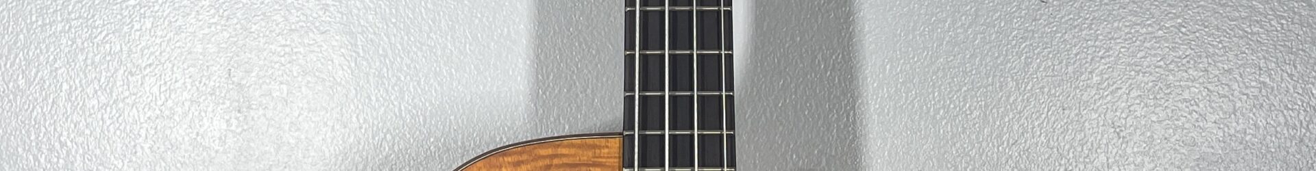 Aria Pro Acoustic Bass, pro setup w/flatwounds, plays and sounds great, w/bag.