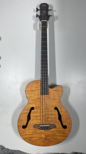 Aria Pro Acoustic Bass, pro setup w/flatwounds, plays and sounds great, w/bag.