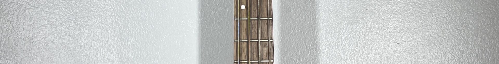 Schecter Custom Bass