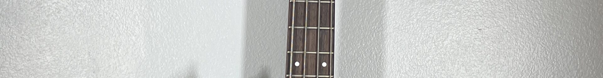 Ibanez EGB500 bass, super nice.