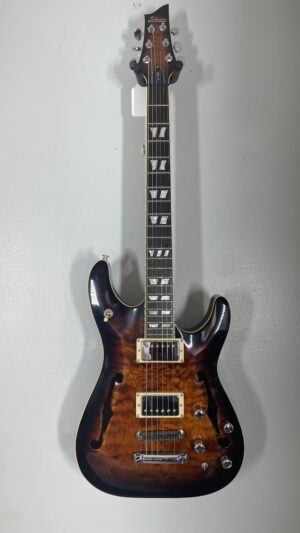 Schecter E/A electric acoustic, pro setup.