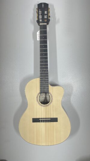 Alvarez RC22HCE Hybrid Classical, Brand New. Thinner Neck Classical, w/bag and pickup.