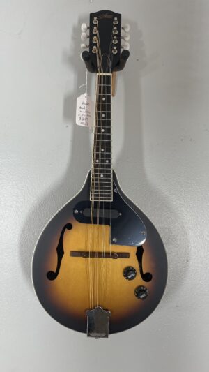 Amati Mandolin, new, with bag and pu.