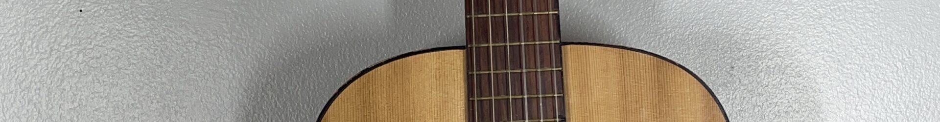 Vintage Sekovia Classical