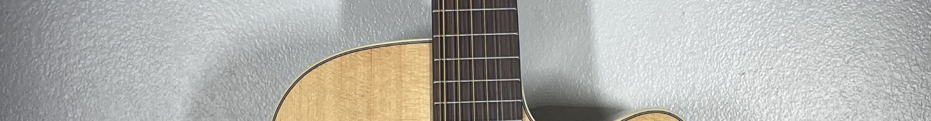 Alvarez AD60CE-12, 12 string, solid top, brand new.