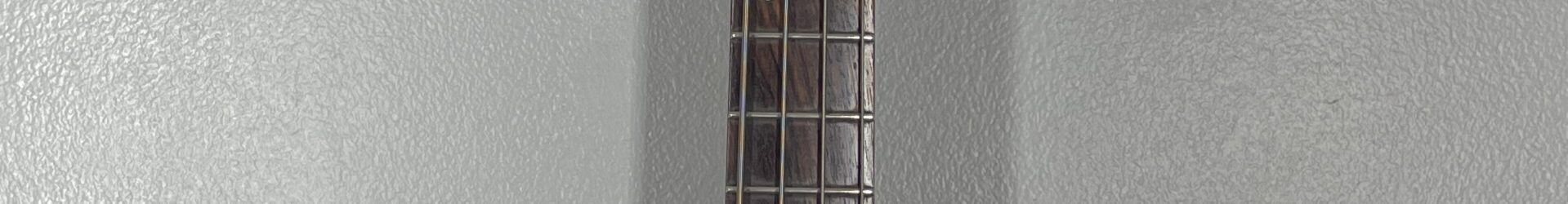 Washburn XB-900? bass. Plays great, D-tuner,