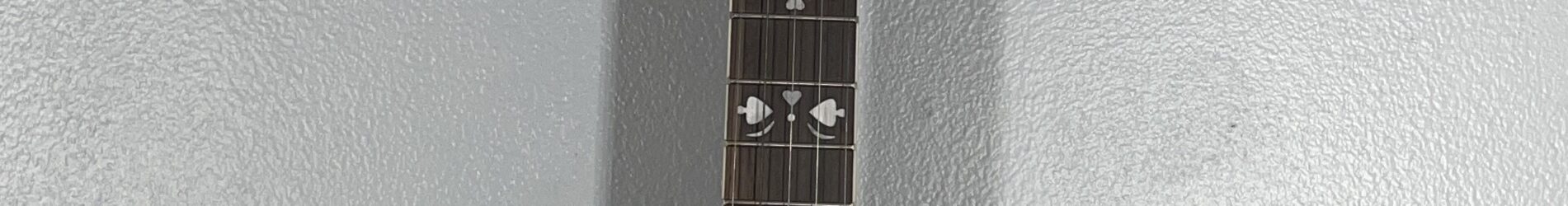 Crestwood banjo, with bag.