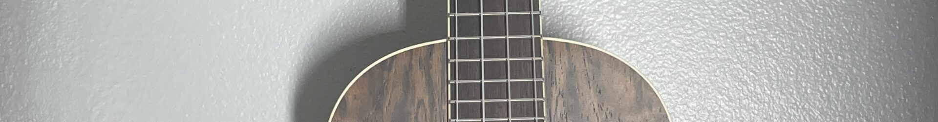 Cordoba 15TB-E tenor uke with pickup, and super cool bag!!