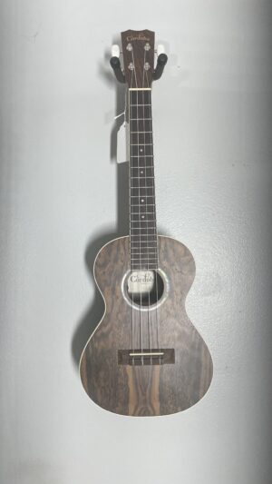 Cordoba 15TB-E tenor uke with pickup, and super cool bag!!
