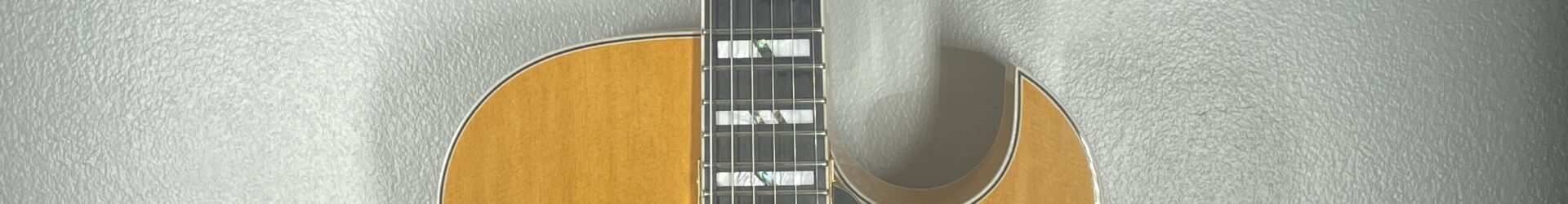 Dean Palamino Jazz Guitar, pro setup.