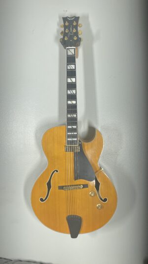 Dean Palamino Jazz Guitar, pro setup.