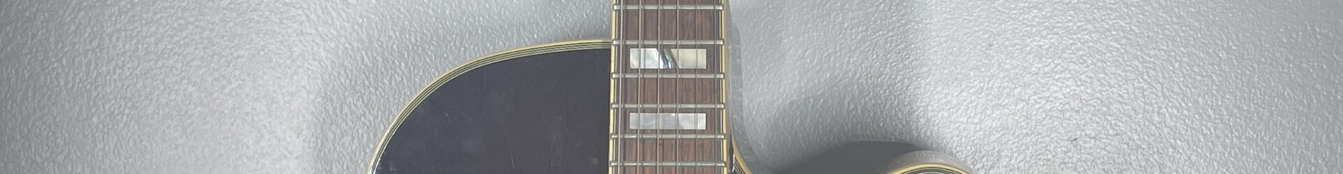 Carlo Robelli Manhattan Jazz Guitar, D-120, w/hdcs.