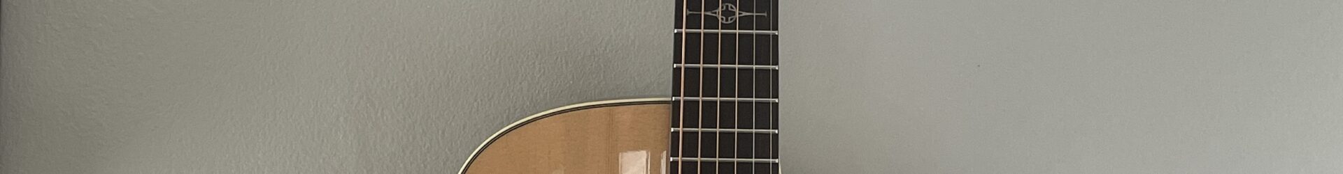 Alvarez AD-60CE brand new, authorized dealer. Solid top, pickup