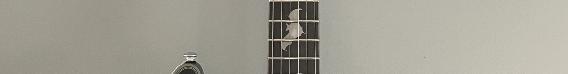 Schecter Damien Platinum, almost new, pro setup. w/coffin case.