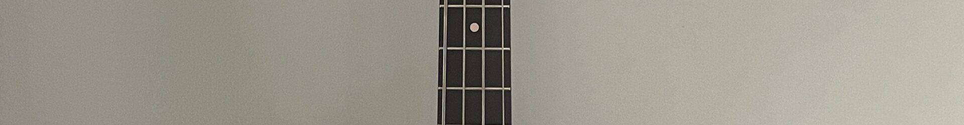 Carvin Vintage USA bass, great, pro setup.