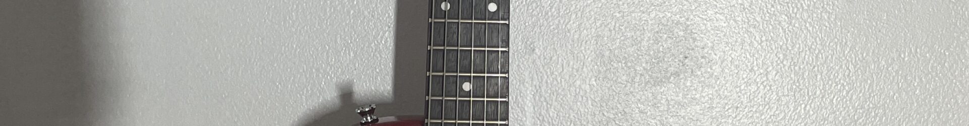 Epiphone Les Paul 100, pro setup.