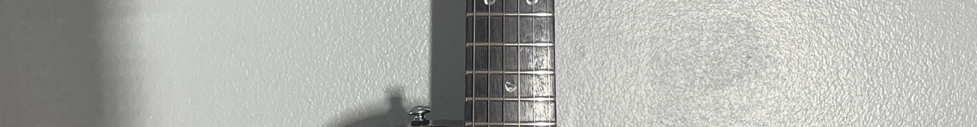 PRS Singlecut, consignment, VGC