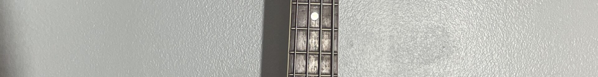 Custom Vintage Lefty Bass.