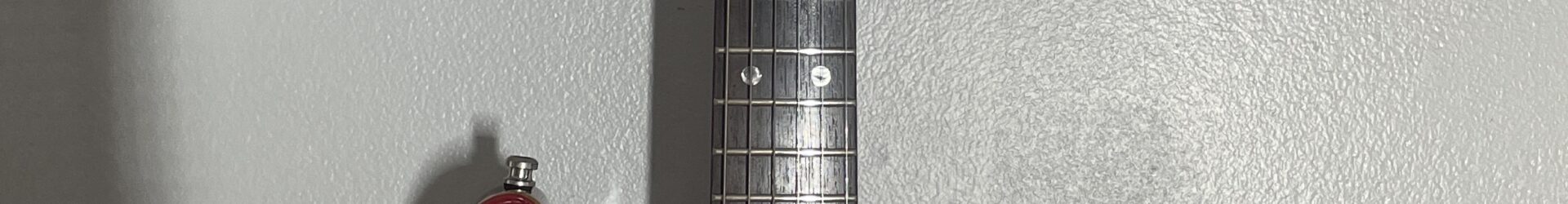 PRS SE Custom, VGC, Consignment.