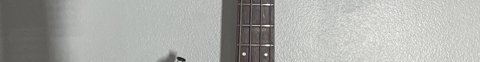 Ibanez SR-250 Bass, pro setup, plays great, almost new.