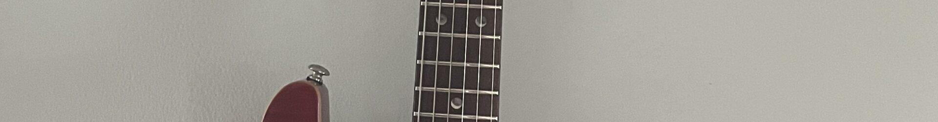 PRS SE Custome w/trem and bag.