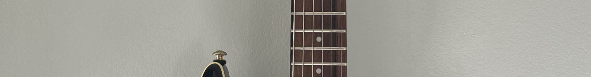 Epiphone Del Rey