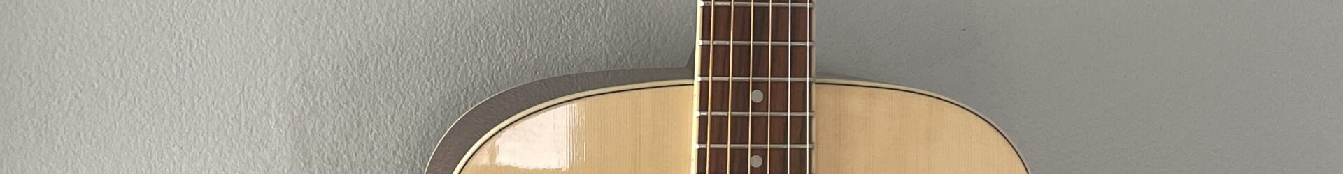 Washburn D8T, solid top guitar, pro setup, w/bag.
